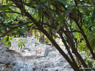 ogeo Quadrato15-07-2014 19-34-48